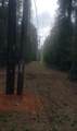 19265 Alford Road - Photo 9
