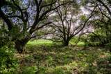 Tract 5 Nassau Road - Photo 11