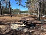 17760 Saddle Horn Drive - Photo 11