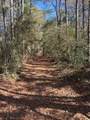 17760 Saddle Horn Drive - Photo 20