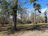 10825 Rose Royal Drive - Photo 10