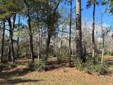 10825 Rose Royal Drive - Photo 8