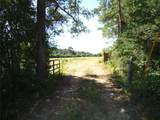 788 Fm-2781 - Photo 22