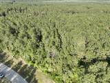 15750 Wooded Trail Way - Photo 4