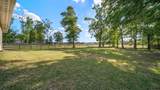 9239 White Tail Drive - Photo 5