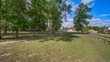 9239 White Tail Drive - Photo 7