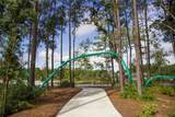 16146 Rita Road - Photo 47