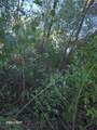 0 County Road 232 - Photo 4