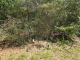 9102 Blue Lake Drive - Photo 10