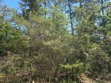 9102 Blue Lake Drive - Photo 11