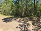 9102 Blue Lake Drive - Photo 7