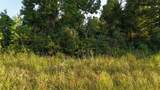 TBD Long Drive - Photo 2