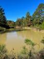 31517 Bohlssen Road - Photo 1