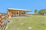 29210 Walker Lane - Photo 15