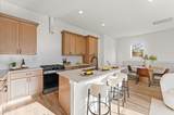 6507 Old Olive Tree Drive - Photo 13