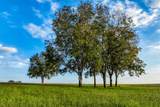 TBD Sunny Meadow Lot 25 Drive - Photo 15