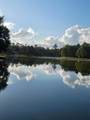 5303 Beaver Lodge Drive - Photo 19