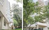 404 St Louis Ave - Photo 4