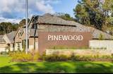 22445 Mountain Pine Drive - Photo 21