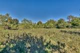 31742 Waller Tomball Road - Photo 9