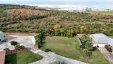 226 Debbie Lane - Photo 14