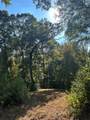 TBD Tiki Trail - Photo 1