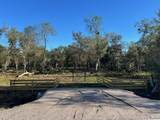 10186 County Road 400 - Photo 1