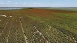 00 County Road 164 - Photo 4