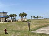 3037 Sandy Lane - Photo 4
