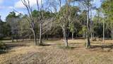 585 Bishop Road - Photo 10