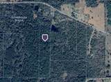 585 Bishop Road - Photo 11