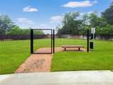 11922 Amber Oak Way - Photo 43