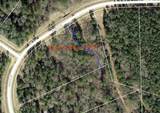 4b-11-3 Sundog Road - Photo 5