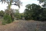 Parcel 4 Lobo Lane - Photo 6