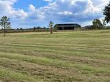 LOT 7 Old Columbus Road - Photo 16