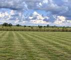 LOT 7 Old Columbus Road - Photo 17