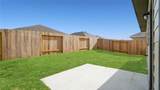 25703 Northpark Palm Drive - Photo 16