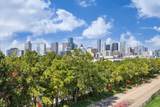 2803 Chartres Street - Photo 1