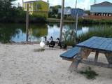 00 Bayou Lane - Photo 33