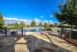 809 Cardinal Flower Drive - Photo 38