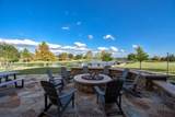 809 Cardinal Flower Drive - Photo 39