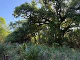 15563 Tax ID Ramblewood County Road 281 Road - Photo 11