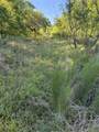 15563 Tax ID Ramblewood County Road 281 Road - Photo 16