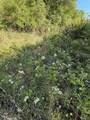 15563 Tax ID Ramblewood County Road 281 Road - Photo 17