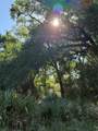 15563 Tax ID Ramblewood County Road 281 Road - Photo 7