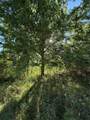 15563 Tax ID Ramblewood County Road 281 Road - Photo 9