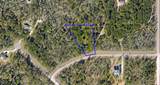 11631 Dawn Tree Lane - Photo 8
