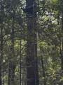 Lot 25 Frank Ln - Photo 5