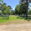 26427 1/2 Dobbin Huffsmith Rd Road - Photo 24