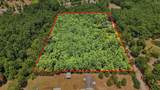 201 Lewis Lane - Photo 3